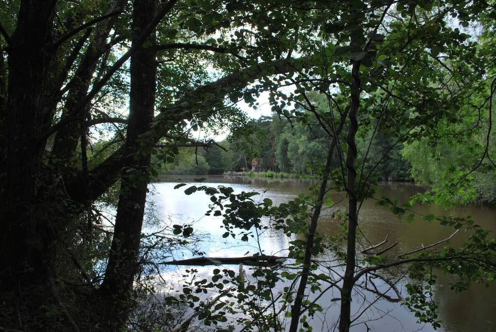 Paradis Perdu En Sologne Avec Plage Privee Villeny Zewnętrze zdjęcie
