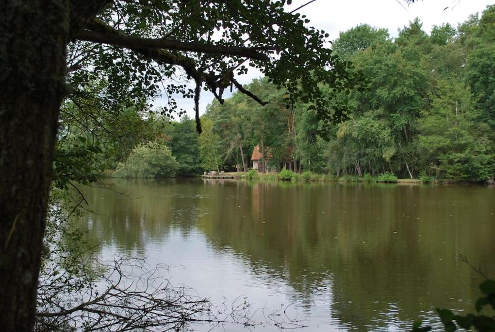 Paradis Perdu En Sologne Avec Plage Privee Villeny Zewnętrze zdjęcie